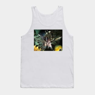 Caribbean Lion Fish Tank Top